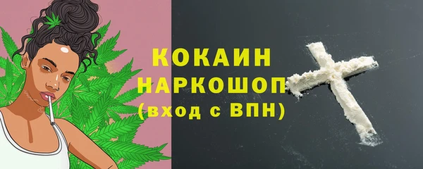 гидра Белоозёрский