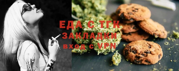 дживик Богородицк