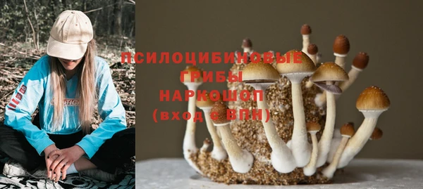 МДМА Богданович