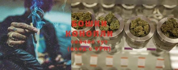 дживик Богородицк