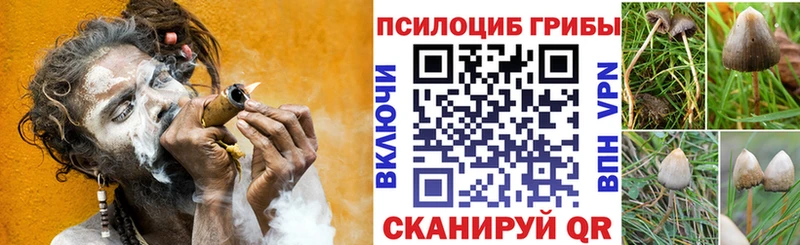 Галлюциногенные грибы Magic Shrooms  как найти закладки  Верхняя Салда 